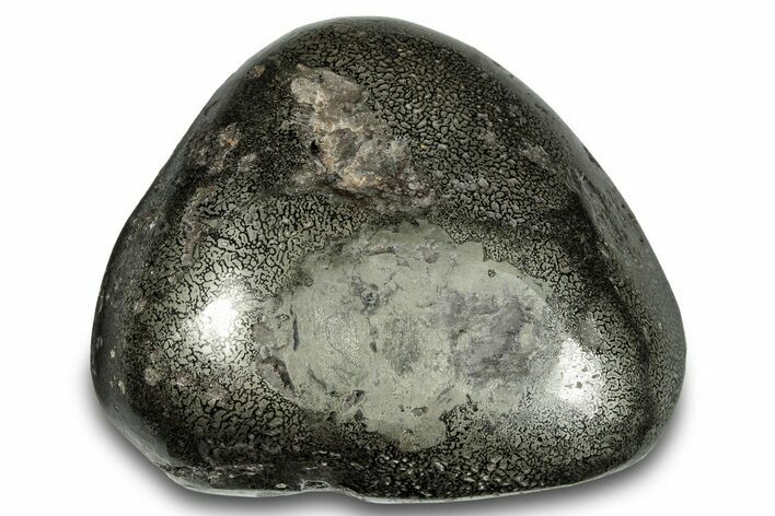 Pyritized, Polished Iguanodon Bone - Isle Of Wight #284227